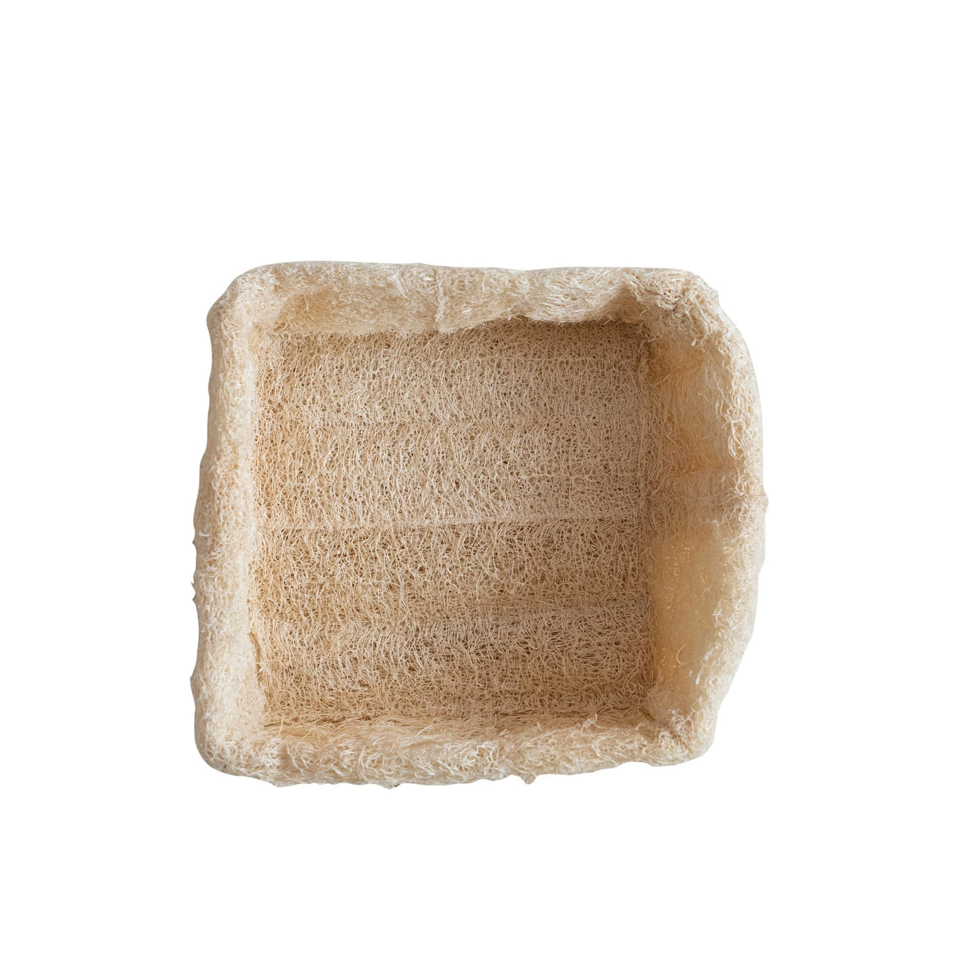 LARGE NATURAL LOOFAH CONTAINER