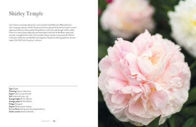 PEONIES BOOK
