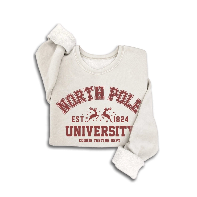 NORTH POLE MINERAL SWEATSHIRT